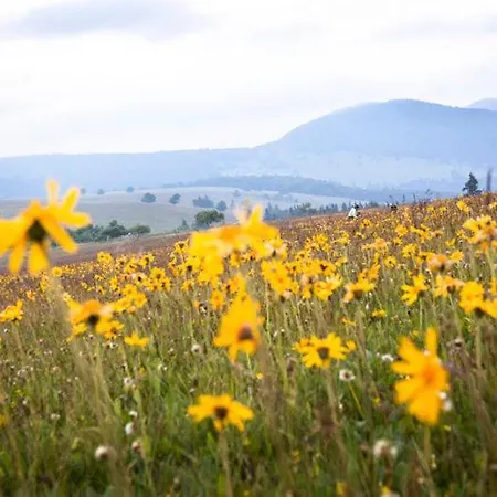 Logis Apartman Gérardmer