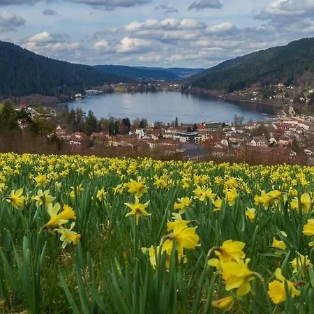 Apartment Logis Gerardmer