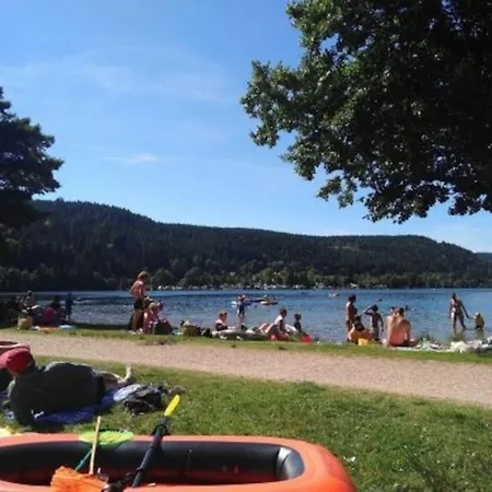Logis Apartment Gerardmer