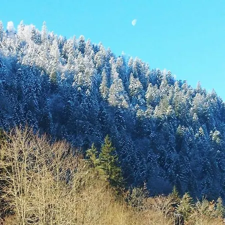 Logis Gerardmer