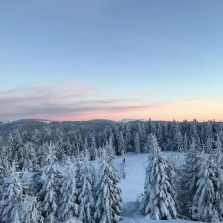 Logis Gerardmer