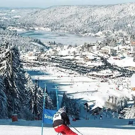 Logis Apartment Gerardmer