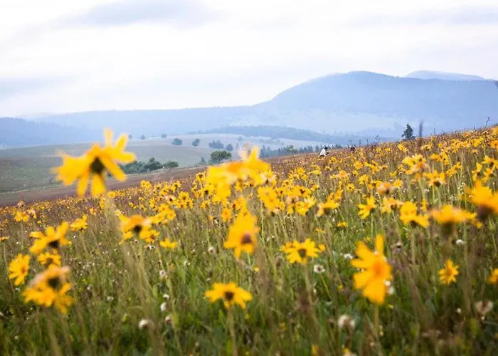 Logis Apartmán Gérardmer