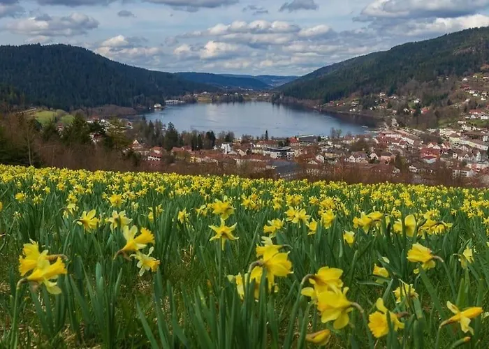 Apartmán Logis Gérardmer