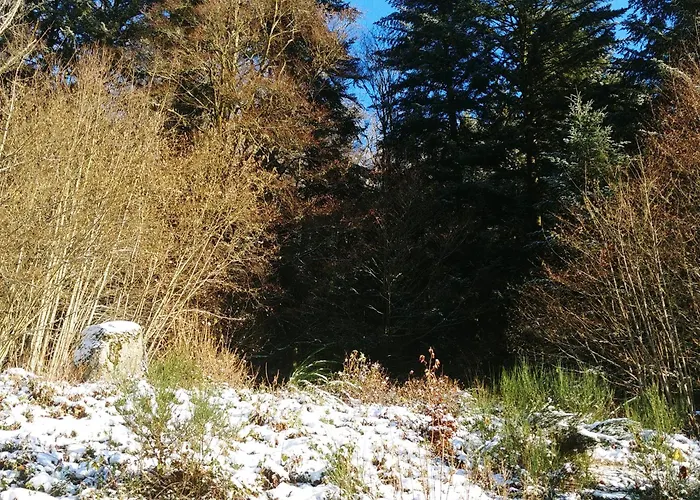 Logis Apartmán Gérardmer